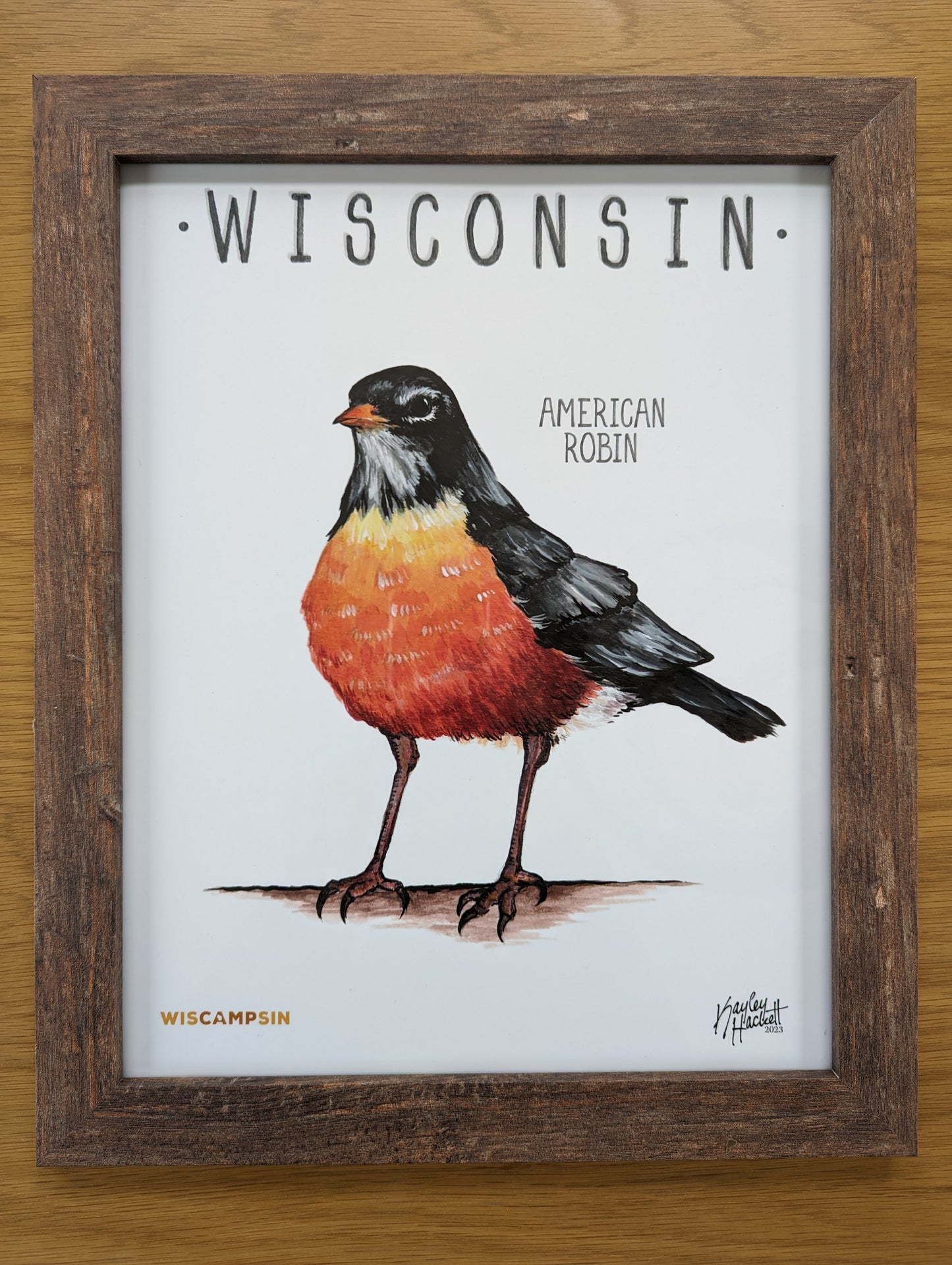 Wisconsin State Bird Art Print