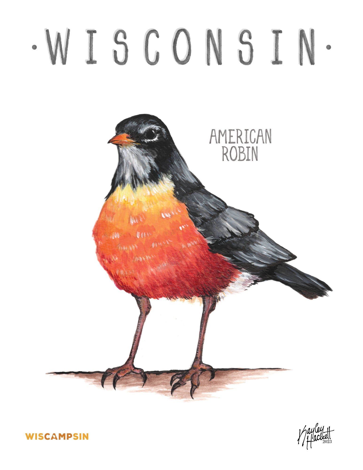 Wisconsin State Bird Art Print – Wiscampsin